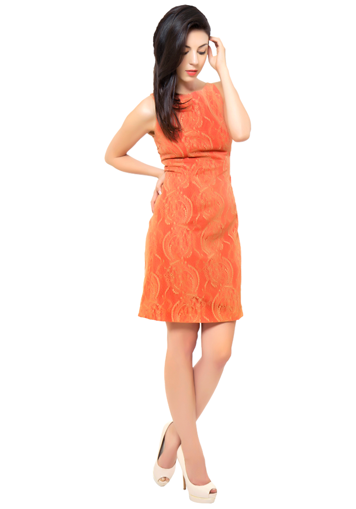 Beige Soft Lace Dress 